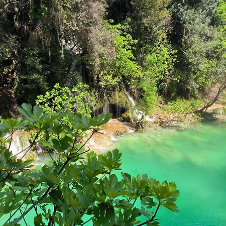 Le Mas Melusine Fayence Esterno foto