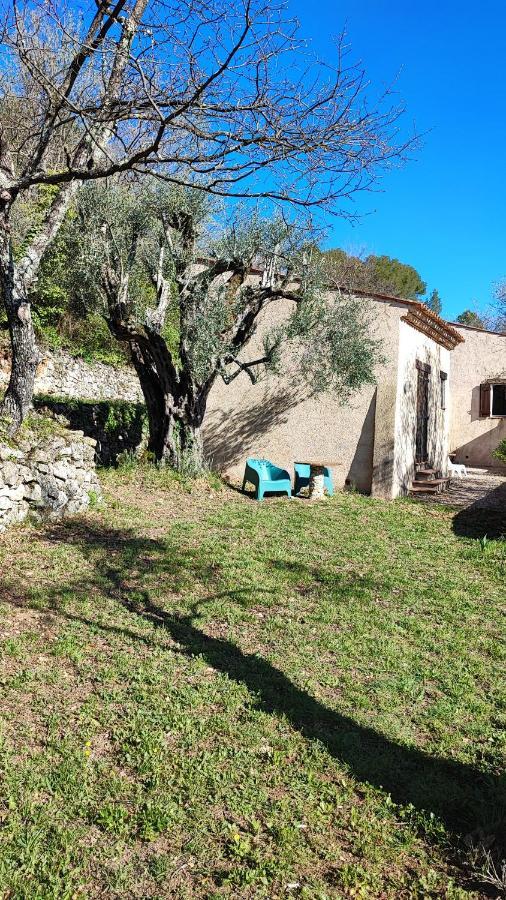 Le Mas Melusine Fayence Esterno foto