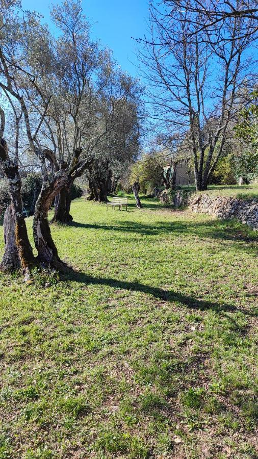 Le Mas Melusine Fayence Esterno foto