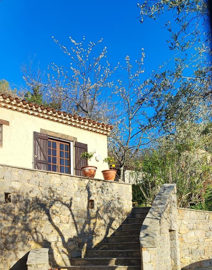 Le Mas Melusine Fayence Esterno foto