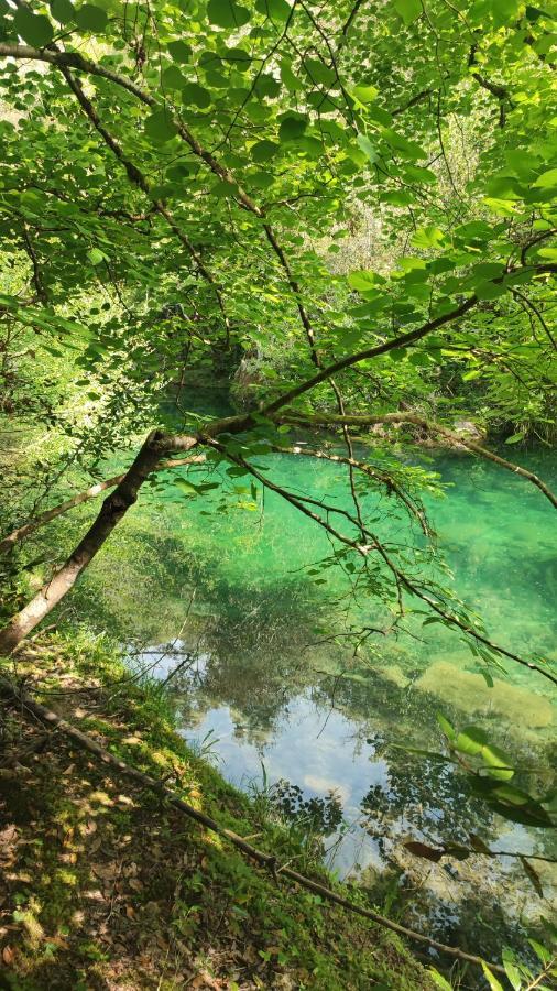 Le Mas Melusine Fayence Esterno foto